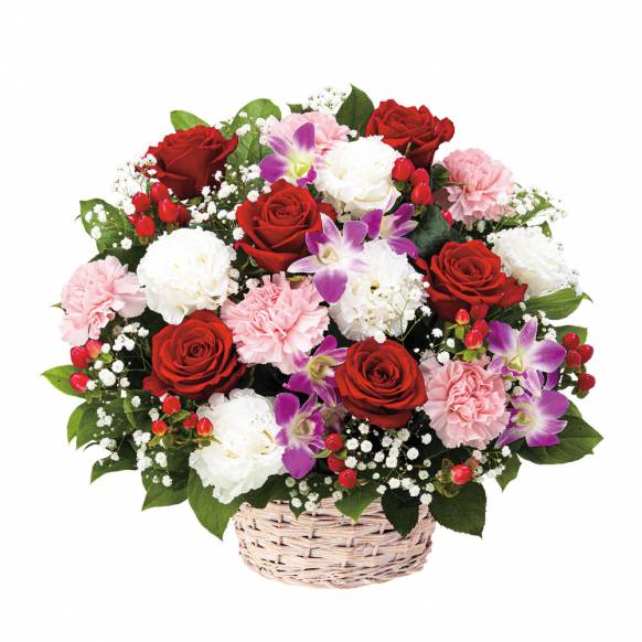 8000円 円まで の花 北海道千歳市の花屋 今村花店にフラワーギフトはお任せください 当店は 安心と信頼の花キューピット加盟店です 花キューピットタウン